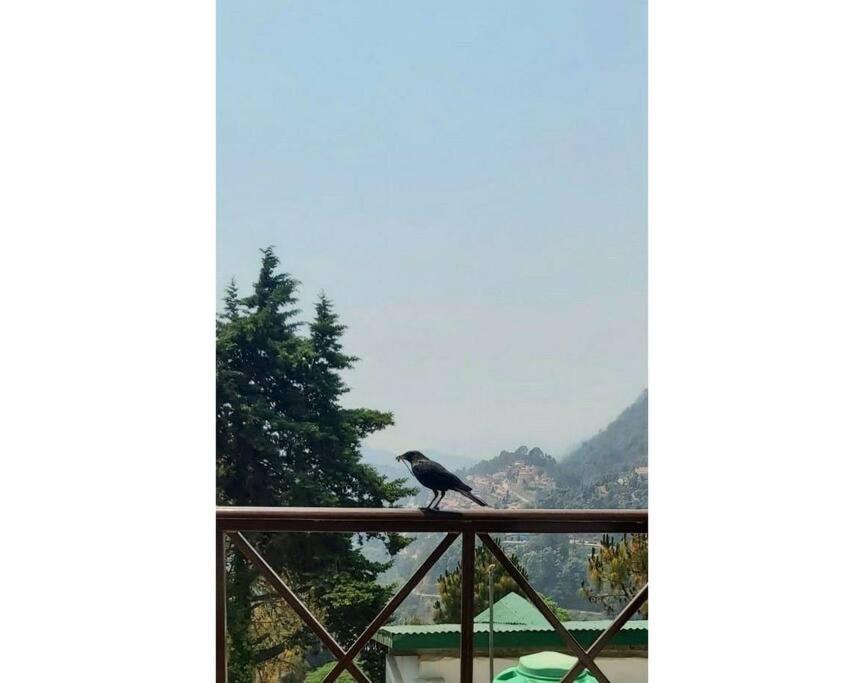 Whistling Thrush Cottage, Bhimtal Найнитал Экстерьер фото